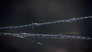 Barbed wire on a prison fence